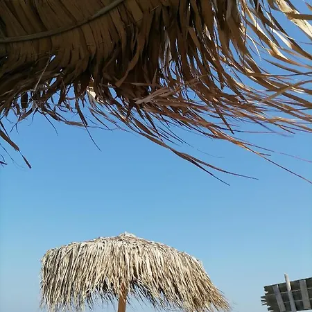 Rimimi * Năvodari